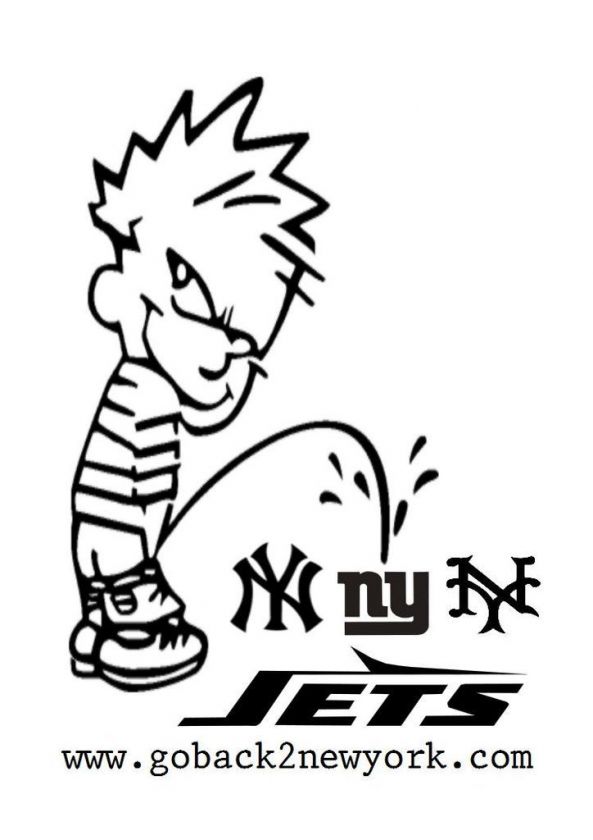 New York Yankees Jets Mets Giants Hater NY sucks shirt  